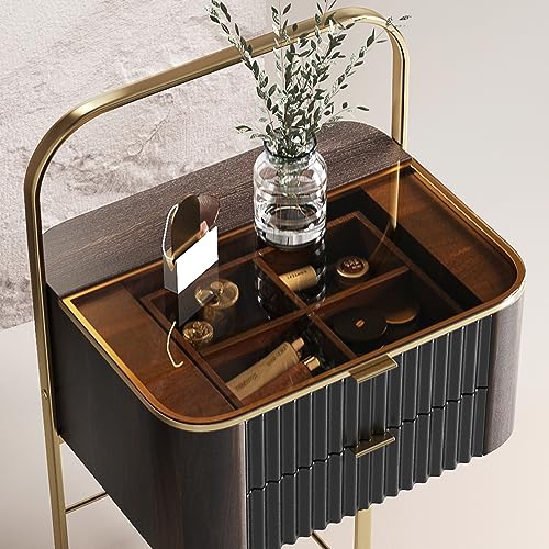 Lartis Premium nightstand, Stylish Design, 2 Drawers,Very Easy to Assembly, End Table Bedside Table，Stainless Steel Gold Plated feet(Elegant Black)