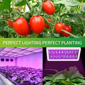 LUYIMIN Upgraded 1000W LED Grow Lights with Dual Switch, Double Chips Full Spectrum Plant Light, Grow Lights for Indoor Hydroponic Plants Veg Flower Growing Lamps