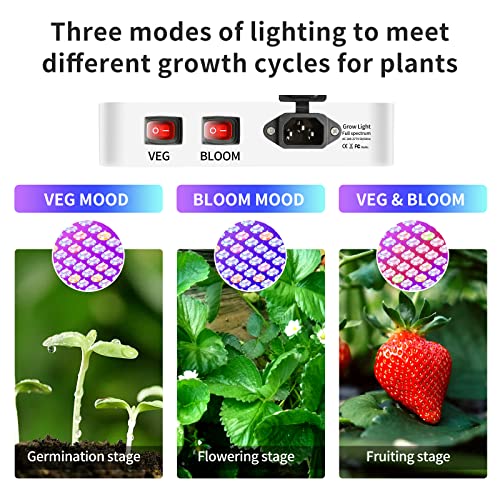 LUYIMIN Upgraded 1000W LED Grow Lights with Dual Switch, Double Chips Full Spectrum Plant Light, Grow Lights for Indoor Hydroponic Plants Veg Flower Growing Lamps