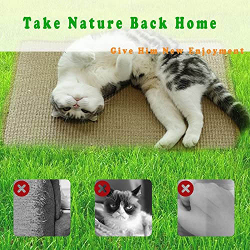 HUTPET cat Scratching mats,Natural Jute cat scratchers for Indoor Cats, cat Scratch Furniture Protector, 23.6 X 15.7 Inch cat Furniture Protector Protect Carpets and Sofa