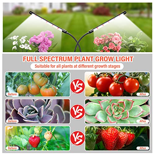 Bseah Grow Light Plant Lights for Indoor Plants, 84 LEDs Full Spectrum Clip Plant Growing Lamp, 10-Level Dimmable, Auto On Off Timing 3 9 12Hrs
