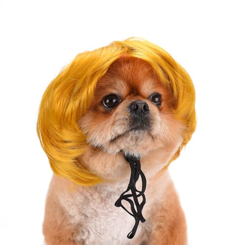 Funny Dog Cat Cosplay Wig, Headwear Apparel Toy, Pet Costumes, Cat Dress up for Halloween, Christmas, Parties, Festivals, Dog Wigs for Small Medium and Large Dogs (Pumpkin Yellow)