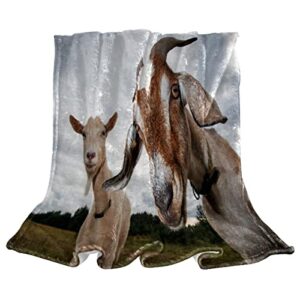 throw blanket lightweight microfiber fleece blanket,goats,soft cozy 59.0x78.7 bed blankets