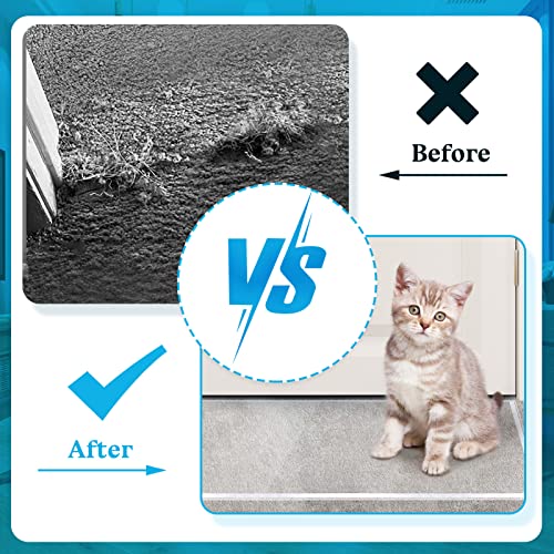 Cat Carpet Protector,Heavy Duty Plastic Carpet Scratch Stopper for Pets