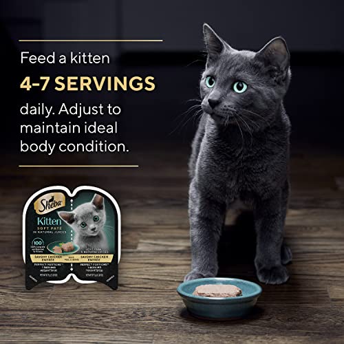 SHEBA PERFECT PORTIONS Kitten Paté Wet Cat Food Trays (24 Count, 48 Servings), Savory Chicken Entrée, Easy Peel Twin-Pack Trays