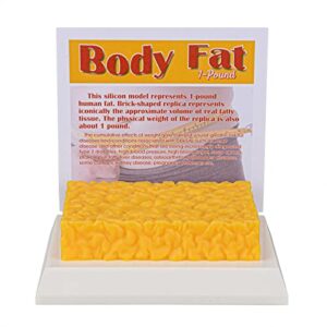 simcoach human body fat replica 1 lb, keep fit & weight loss motivation & reminder, silicone human fatty tissue demonstration model for nutritionist, athlete