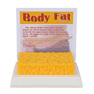 SimCoach Human Body Fat Replica 1 Lb, Keep Fit & Weight Loss Motivation & Reminder, Silicone Human Fatty Tissue Demonstration Model for Nutritionist, Athlete