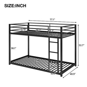 HomJoones Metal Bunk Bed,Metal Twin Over Beds for Kids,Low Profile with Ladder Girls Boys,No Box Spring Needed (Black)