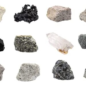 12 Piece Introduction to Igneous Rocks Kit - Includes 1" Specimens - Great for Geology Classrooms & Basic Field Testing Labs - Tech Cut Rocks by Eisco Labs