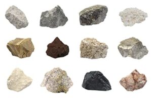 12 piece introduction to sedimentary rocks kit - includes 1" specimens - great for geology classrooms & basic field testing labs - tech cut rocks by eisco labs