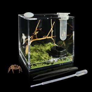 GKPONSX Jumping Spider Enclosure, Acrylic Snail SpiderTerrarium Insect Breeding Box with Tongs Bowls Dropper for Snail Insects Gecko Scorpion Sling Mantis Frog Isopods Hermit Crabs (Driftwood)