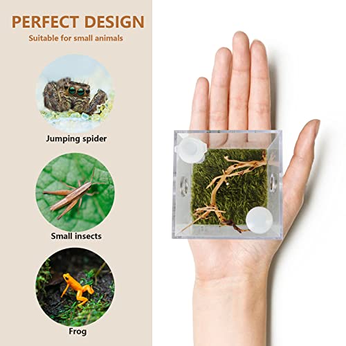 GKPONSX Jumping Spider Enclosure, Acrylic Snail SpiderTerrarium Insect Breeding Box with Tongs Bowls Dropper for Snail Insects Gecko Scorpion Sling Mantis Frog Isopods Hermit Crabs (Driftwood)