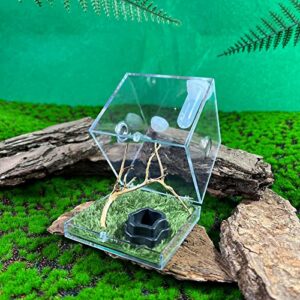 GKPONSX Jumping Spider Enclosure, Acrylic Snail SpiderTerrarium Insect Breeding Box with Tongs Bowls Dropper for Snail Insects Gecko Scorpion Sling Mantis Frog Isopods Hermit Crabs (Driftwood)