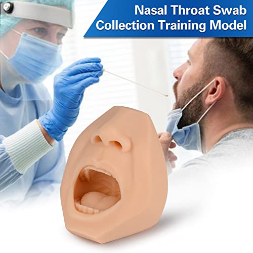 SimCoach Nasal Swab, Throat Swab Test Training Model, Swab Collection Simulator, Saliva Oral Swab, Acupuncture, Puncture Practice Model (White)