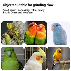 HBaby Parrot Perch Stand Toy Wooden Bird Perch Stand Birds Paw Grinding Rough-surfaced Stick Cage Accessories for Cockatiels,Cockatoo,Lorikeet,Random Color