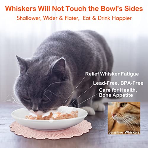 𝟮𝟬𝟮𝟯 𝐍𝐄𝐖 Anti Whisker Fatigue Cat Bowls, Healthy Ceramic Cute Flat Cat Food Bowl for Indoor Cats, Cat Dishes Shallow Wide Cat Plates for Wet Food, Small Whisker Friendly Pet Cat Feeding Bowls