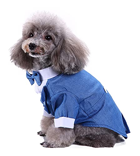 Dog Blue Tuxedo, Dog Formal Clothes, Puppy Wedding Tux, Small Dog Suit and Tie, Business Suit for Dog Blue Large