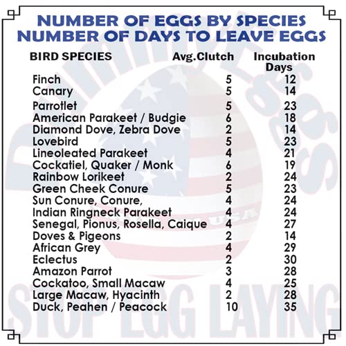 DummyEggs 7 Cockatiel Stop Egg Laying! Perfect for Quaker, Green Cheek 1 x 3/4" Plastic Non-Toxic Solid Fake Bird Eggs Realistic Work Safely, Naturally, Quickly. 20 x 24mm USA Brand