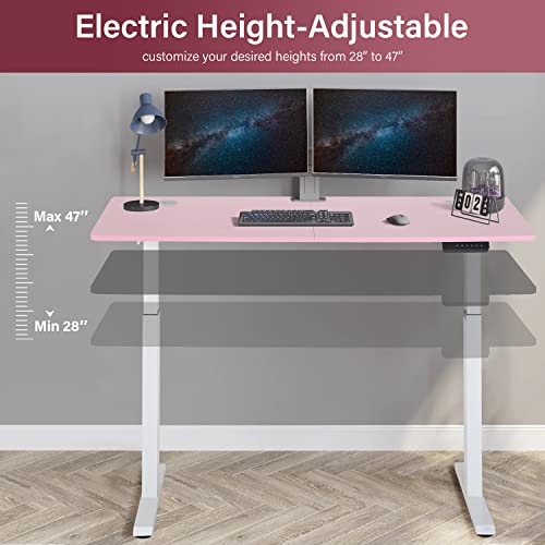 Standing Desk Converter Electric Height Adjustable Computer Desk 55 inches Home Office Gaming Desk Writing Computer Workstation PC Simple Sit-Stand Large Working Area Modern Student Study Desk,Pink