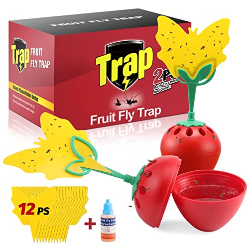 Fruit Fly Trap for Indoors, Fly Catcher Gnat Trap Fruit Fly Killer with 12 Yellow Sticky Traps, Gnat Trap with Bait for Indoor Outdoor, Safe Non-Toxic Fly Trap for Home/Kitchen/Plant (2 Pack)