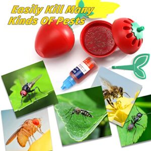 Fruit Fly Trap for Indoors, Fly Catcher Gnat Trap Fruit Fly Killer with 12 Yellow Sticky Traps, Gnat Trap with Bait for Indoor Outdoor, Safe Non-Toxic Fly Trap for Home/Kitchen/Plant (2 Pack)