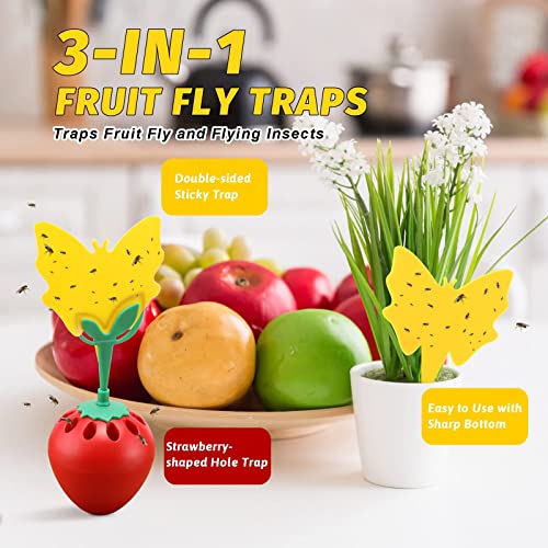 Fruit Fly Trap for Indoors, Fly Catcher Gnat Trap Fruit Fly Killer with 12 Yellow Sticky Traps, Gnat Trap with Bait for Indoor Outdoor, Safe Non-Toxic Fly Trap for Home/Kitchen/Plant (2 Pack)