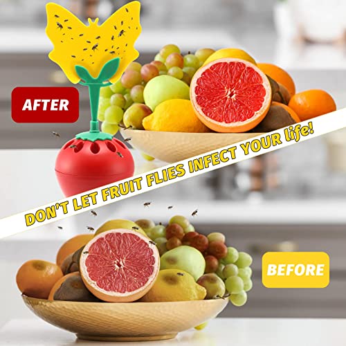 Fruit Fly Trap for Indoors, Fly Catcher Gnat Trap Fruit Fly Killer with 12 Yellow Sticky Traps, Gnat Trap with Bait for Indoor Outdoor, Safe Non-Toxic Fly Trap for Home/Kitchen/Plant (2 Pack)