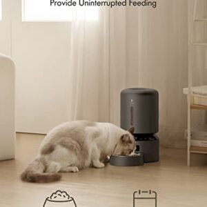 PETLIBRO Automatic Cat Feeder, Pet Dry Food Dispenser Triple Preservation with Stainless Steel Bowl & Twist Lock Lid, Up to 50 Portions 6 Meals Per Day, Granary for Dogs & Cats