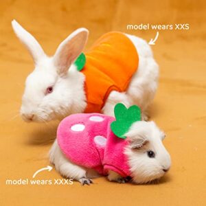 TUKOAW Guinea Pig Clothes - Cute Strawberry & Carrots Pet Colthes for Guinea Pig Rabbit Ferret Rat Chinchilla Kitten MiniDogs - Soft Warm Guinea Pig Costume for Winter Fall