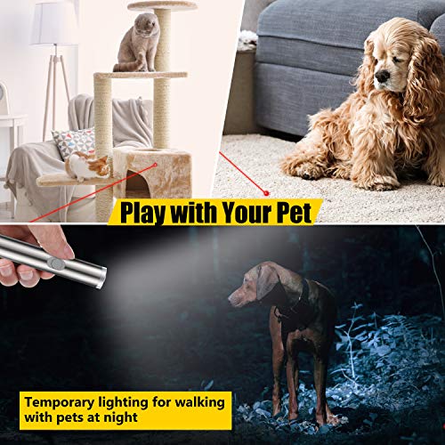 Grafken Interactive Cat LED Light Toys for Indoor Cats and Kittens Play Chase Exercise(2 Pack)