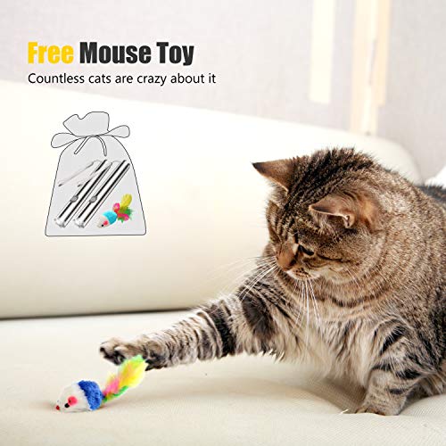 Grafken Interactive Cat LED Light Toys for Indoor Cats and Kittens Play Chase Exercise(2 Pack)