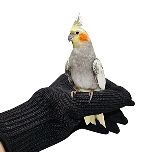 KUYYFDS Parrot Anti Bite Gloves Pet Protective Gloves Pet Training Wire Gloves Chewing Working Safety Gloves for Parrot Hamster - Black 1Pair Safety Work Gloves