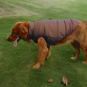 PAWSINSIDE Dog Puffer Jacket Cold Weather Fleece Vest Coat Pet Quilted Winter Clothes for Small Medium Large Dogs (Coffee, Small)