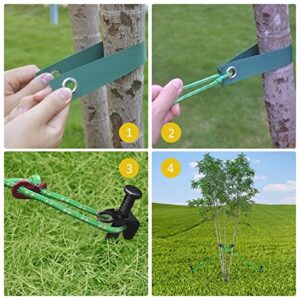 FCENDS Tree Stake Kit, Heavy Duty Anchor Support Kit for Young Trees Against Bad Weather, Tree Straightening Kit Include 3Pcs Tree Straps, 3Pcs 11.8 in Metal Stakes, 3Pcs Ropes