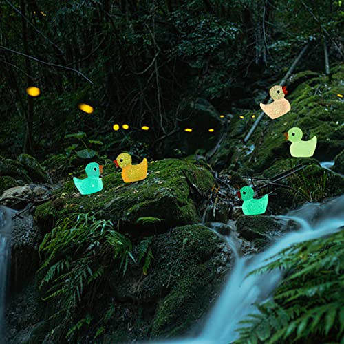 Mini Resin Ducks,100Pcs Luminous Tiny Ducks Micro Landscape Gardening Decorative Potted Flower Pots Resin Gardening Accessories Ornaments (Mixed)