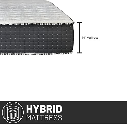 Treaton 14-Inch Luxury Foam Encased Firm Hybrid Mattress, Pocket Coil Springs for Motion Isolation & Pressure Relief, Strong Edge Support, High Density Foam, 2" Fluffy Quilted Top, Queen, Black