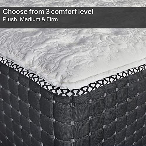 Treaton 14-Inch Luxury Foam Encased Firm Hybrid Mattress, Pocket Coil Springs for Motion Isolation & Pressure Relief, Strong Edge Support, High Density Foam, 2" Fluffy Quilted Top, Queen, Black