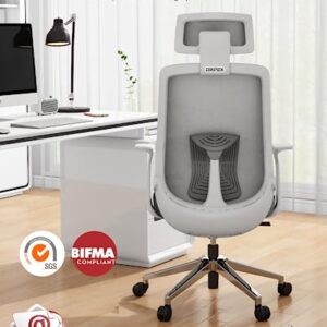 Dripex Mesh Office Chair for Home, Ergonomic Desk Chair with Arms/Lumbar Support/Mesh Back/Adjustable Headrest & Height/Wheels, Computer Chairs Tilt Reclining Swivel Rolling Chair, Grey