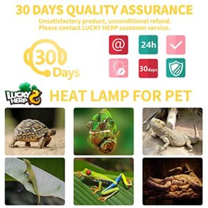 LUCKY HERP New Upgrade 100W Reptile Heat Lamp Bulb (3rd Gen, Safer), Amphibian Basking Spot Light Bulb, UVA Reptile Daylight Bulb for Turtle, Bearded Dragon, Lizard Heating Use (2 Pack)