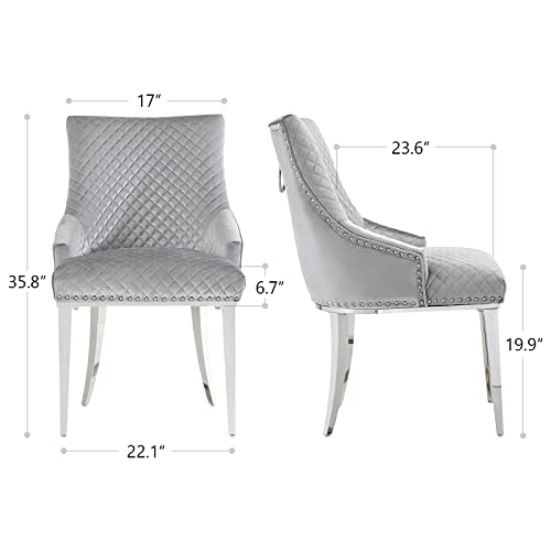 Anewsun Modern Dining Chairs, Light Grey Velvet Upholstered Dining Room Chair with Silver Mirrored Stainless Steel Legs, Set of 2