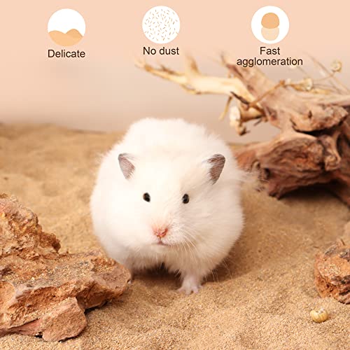 LUVCOSY Hamster Sand Bath Kit = Bath Sand + Sand Bath Box, Acrylic Critter's Dust Sand Bathroom, Desert Sand Container, Habitat Accessories for Mice, Gerbils, Reptile & Small Animals