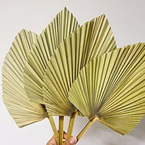 4PCS Pale Yellow Natural Dried Palm Leaves, 16"x8" Dried Palm，WAMPAR Hand-cut Heart-shaped Dried Palm Spear Bohe Decoration, Suitable for Bohe Wedding, House Party Decoration, DIY Flower Decoration