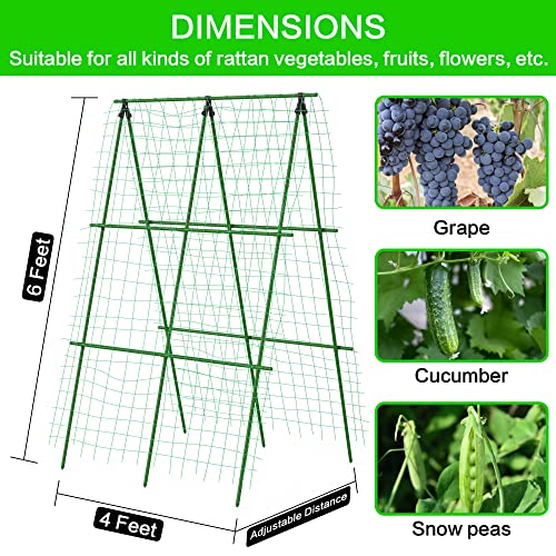 4Feet WX6Feet H Garden Trellis for Cucumber Climbing Plants Outdoor,Sturdy Metal Plant Support Tower Garden Vegetable Fruit Vine Cucumber Trellis, A Frame Trellis