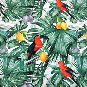 Tropical Toucan Birds,Lemons Floral Print Upholstery Fabric(200x140cm)-HDTF-0642-200