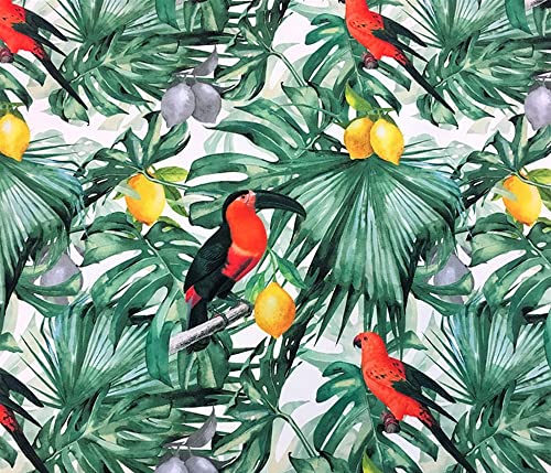 Tropical Toucan Birds,Lemons Floral Print Upholstery Fabric(200x140cm)-HDTF-0642-200