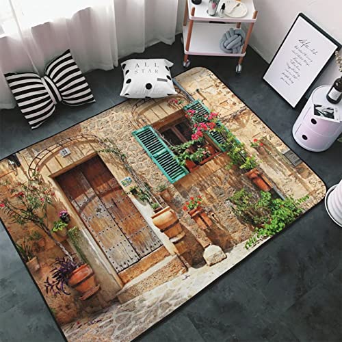 Soft Area Rug Non Slip Washable for Indoor,Streets of Old Mediterranean Towns Provence Landscape Flower Door Windows,Large Floor Carpets Doormat Covering Living Room Bedroom 4 x 5.3Ft