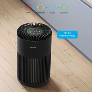 Govee Smart Kitchen Air Purifiers PM2.5 Sensor H7122111 Bundle with Govee Air-Purifier Replacement Accessories