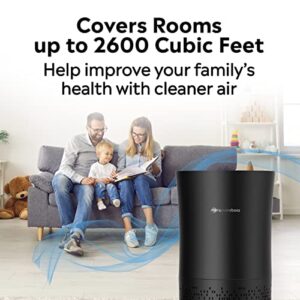 enviroboss Z400 Air Purifier, up to 326 sq ft, Black