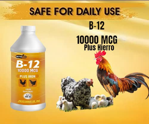 NUTRILINE B-12 for Poultry - Multivitamin Booster for Rooster, Hens, Chicken, Vitamin Recovery Liquid 16 onzas