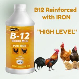 NUTRILINE B-12 for Poultry - Multivitamin Booster for Rooster, Hens, Chicken, Vitamin Recovery Liquid 16 onzas